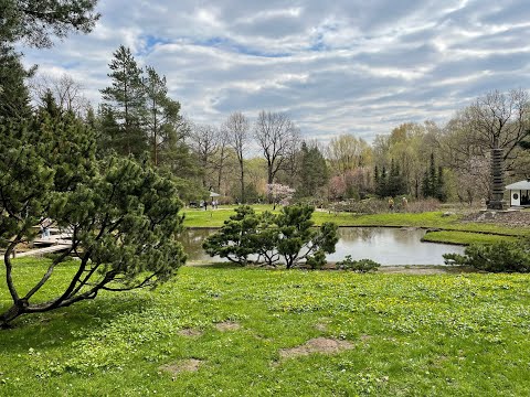 Видео: Японский сад и Парк Хуамин в Москве (Japanese garden & Huaming park - Moscow, Russia)