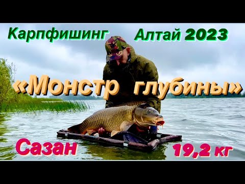 Видео: Карпфишинг на Алтае 🎣🔝 Монстр глубины - сазан 19,2 кг. Рыбалка, август 2023.
