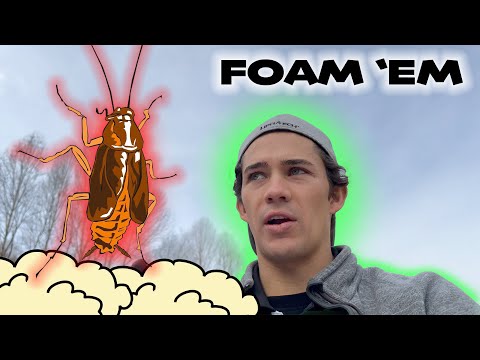 Видео: Уничтожение нашествия тараканов — Мобильный дом