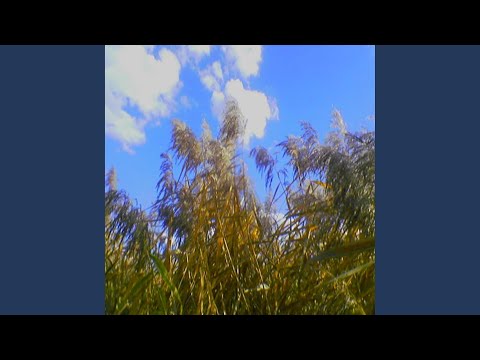 Видео: мальвина