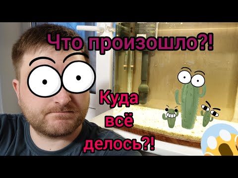 Видео: Запуск аквариума Jebo R338 Часть 2. Что произошло через 1,5 месяца...