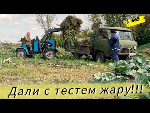 Видео: Задействовали всю технику для уборки. Осенние хлопоты в Омской деревни.