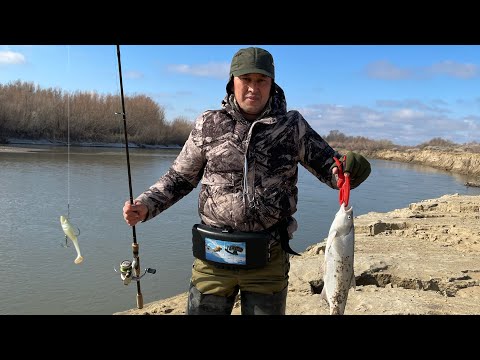 Видео: ЖЕРЕХ 2023 год ! Рыбалка на Каратале. Низовье Каратала. Как поймать жереха ? Весна 2023.