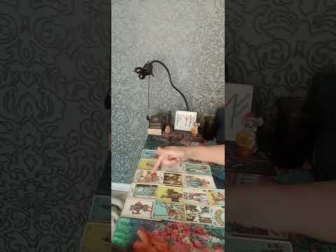 Видео: Соперница сегодня..... Вот это поворот.....