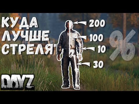 Видео: Как увеличить урон по игрокам DAYZ