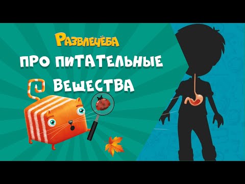 Видео: Развлечёба. Окружающий мир. Про питательные вещества