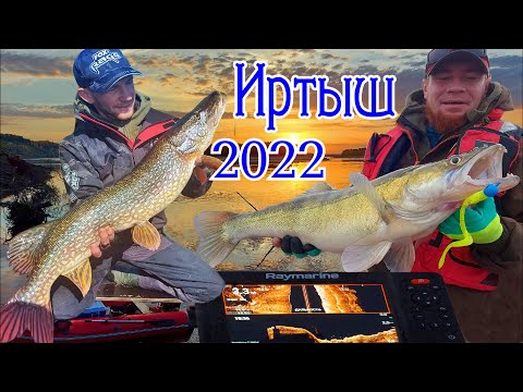 Видео: Рыбалка на Иртыше 2022  Осень  Трофейная пора