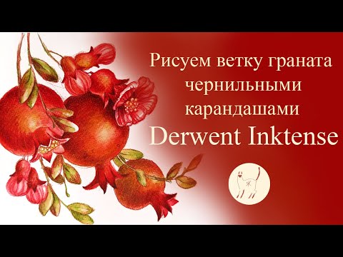 Видео: Рисуем ветку граната чернильными карандашами. Мастер класс для начинающих