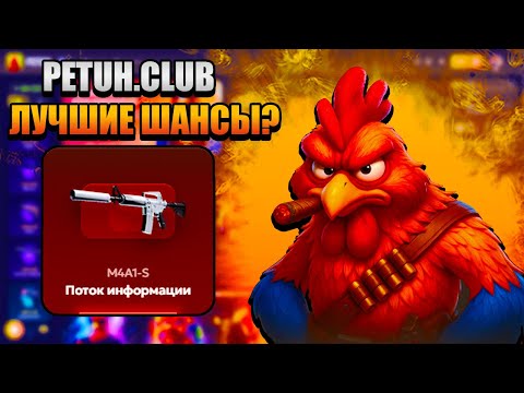Видео: Я ПРОТЕСТИРОВАЛ PETUH.CLUB - ЧЕСТНОСТЬ ИЛИ СКАМ???