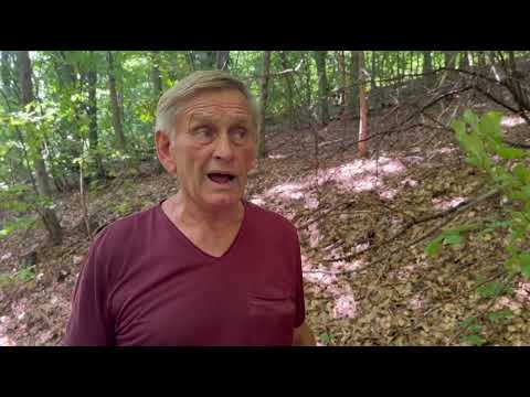 Видео: Життя на кордоні, раллі по-закарпатськи, і що робив Жюль Верн на Закарпатті.