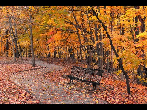 Видео: 2052- ✨ВЛОГ- Осень🍂🍁🍂/Болталка😊/Покупки/от 8-9 октября 2025г.