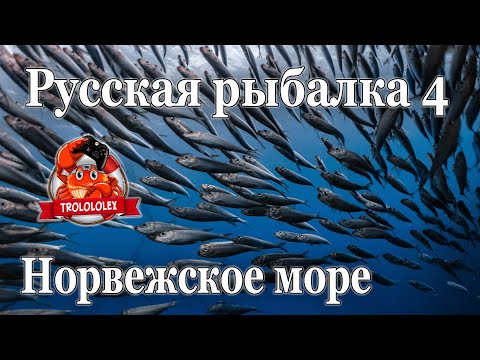 Видео: Русская рыбалка 4 Норвежское море