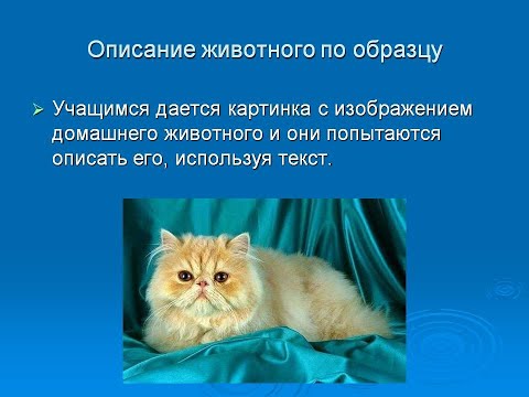Видео: Описание животного Русский язык 5 класс Развитие речи Русский язык