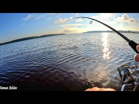 Видео: РЫБАЛКА НА СПИННИНГ на реке Волга в Июне. Ловля Жереха и Щуки на Блесну и Джиг. Летняя рыбалка 2024.