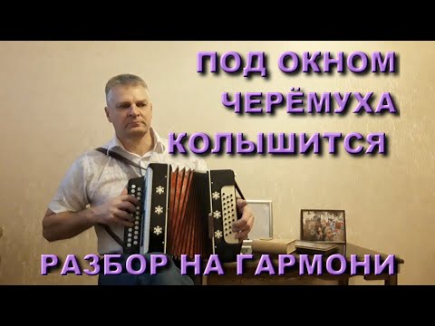 Видео: Под окном черёмуха колышется. Разбор на гармони. Николай Гарбузов.