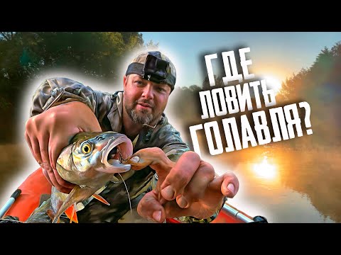 Видео: 🔴 ГДЕ ИСКАТЬ ГОЛАВЛЯ НА МАЛЫХ РЕКАХ? Точно ПОЙМАЕШЬ!!! 🔥🔥🔥