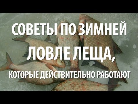 Видео: КАК ЛОВИТЬ РЫБУ ПОДЛЕЩИКА и ЛЕЩА ЗИМОЙ. СНАСТЬ для ПОДЛЕДНОЙ ЗИМНЕЙ РЫБАЛКИ