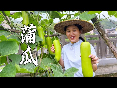 Видео: Собирайте по 10 тыкв за раз,два способа их приготовить,свекровь:тыква вкуснее мяса