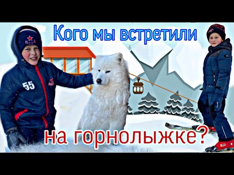 Видео: КОГО МЫ ВСТРЕТИЛИ на ГОРНОЛЫЖКЕ в выходные? // KiFill boys 13+