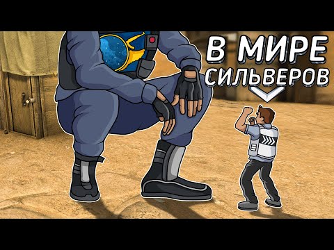 Видео: В МИРЕ СИЛЬВЕРОВ #35 | CS:GO