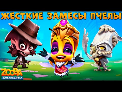 Видео: СОВА И ЕХИДНА ЗАДУШИЛИ ПЧЕЛУ СЬЮЗИ В ИГРЕ ZOOBA