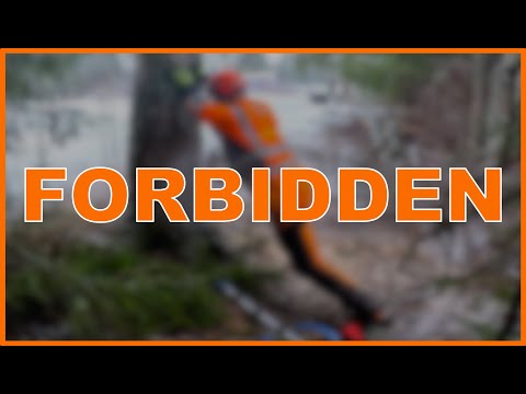 Видео: ПРЕКРАТИТЕ ИСПОЛЬЗОВАТЬ ЭТУ НЕЗАКОННУЮ ТЕХНОЛОГИЮ ВЫРУБКИ ДЕРЕВЬЕВ!