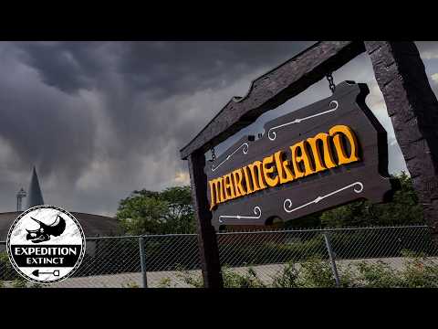 Видео: Заброшенная история худшего тематического парка Северной Америки: Marineland