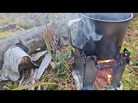 Видео: Дурак в лесу 4