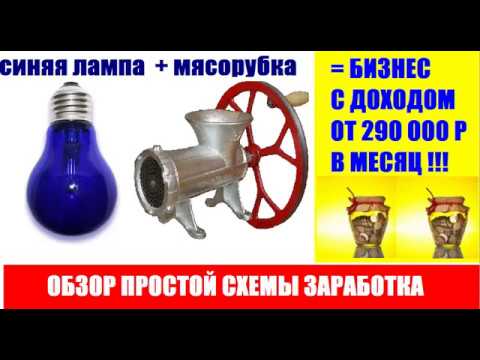 Видео: Синяя лампа + мясорубка = Бизнес идея с доходом от 10000 рублей в день.