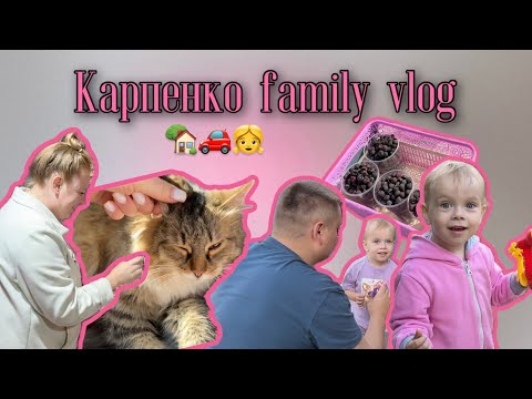 Видео: Мой первый влог с дачи | VLOG #1