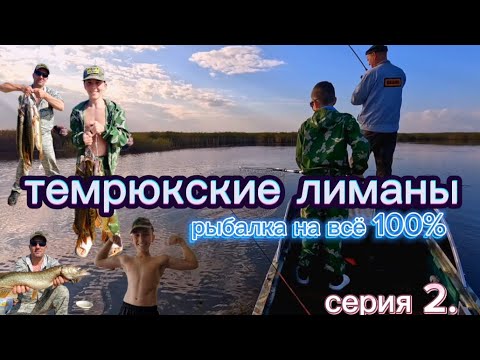 Видео: ЩУЧИЙ ЖОР/ТЕМРЮКСКИЕ ЛИМАНЫ/СЫН НАС ОБЛОВИЛ #темрюкскиелиманы #рыбалкавтемрюке #щука #трофей #улов