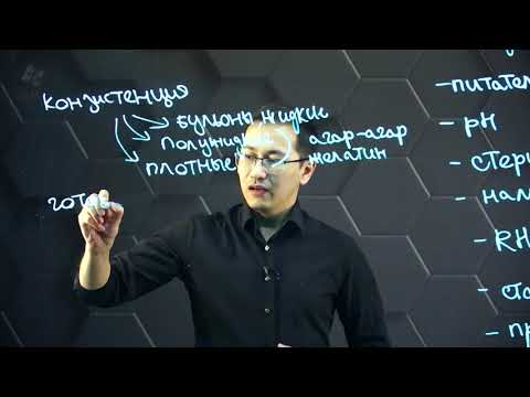 Видео: Виды питательных сред и их подготовка. 11 класс.