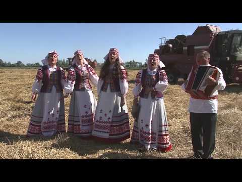 Видео: Программа "Подробности" 11.08.2017 г. (Жатва-2017 в ОАО "Плещицы")