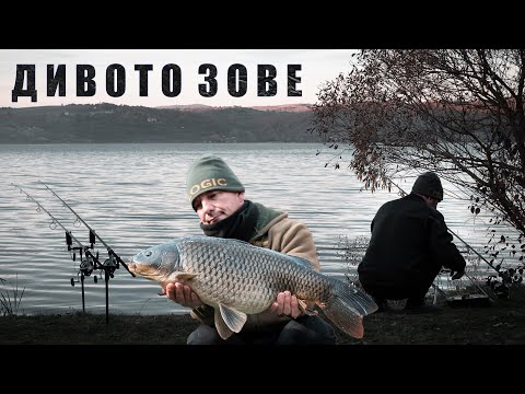 Видео: ДИВОТО ЗОВЕ - Ловим Есенни Шарани с Людмил Димов