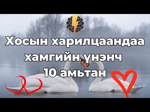 Видео: Хосын харилцаандаа хамгийн үнэнч 10 амьтан