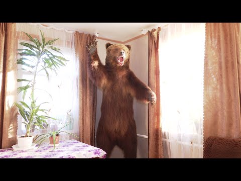 Видео: Уникальный таксидермист! Белорус с 14 лет собирает коллекцию чучел // Какие редкие животные есть?