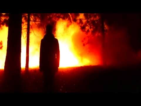 Видео: ОСЕНЬ МУЗЫКАНТА  Жанна Бичевская