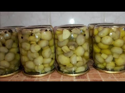 Видео: таких вкусных вы еще никогда не ели!! нравятся всем!