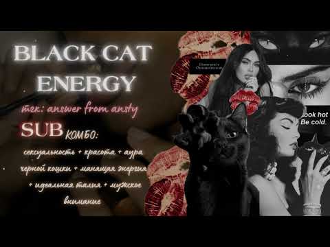 Видео: 𝑩𝑳𝑨𝑪𝑲 𝑪𝑨𝑻 𝑬𝑵𝑬𝑹𝑮𝒀 𝑺𝑼𝑩: кошачья красота + манящая энергия + тонкая талия + мужское внимание саблиминал