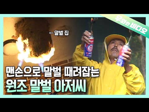 Видео: Он должен быть реинкарнацией медовой пчелы... 🐝 Человек, который разрушает веспиарий