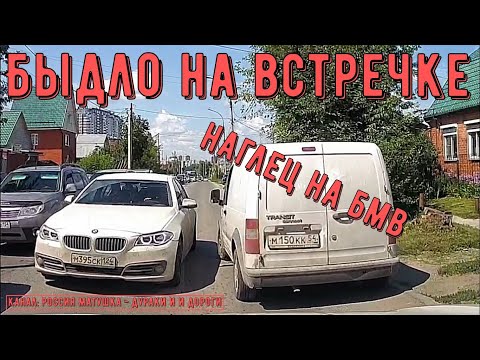 Видео: Быдло на встречке #145! Подборка на видеорегистратор!