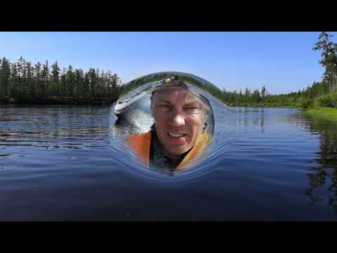 Видео: рыбалка на Ципе 2019