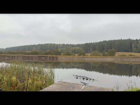 Видео: Турнир по карпфишингу. Закрытие сезона 2025 на Ковалевичах