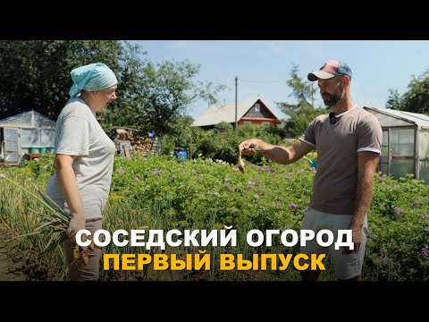 Видео: СОСЕДСКИЙ ОГОРОД. Какие подкормки нужно сделать для хорошего урожая томатов, перцев и других культур