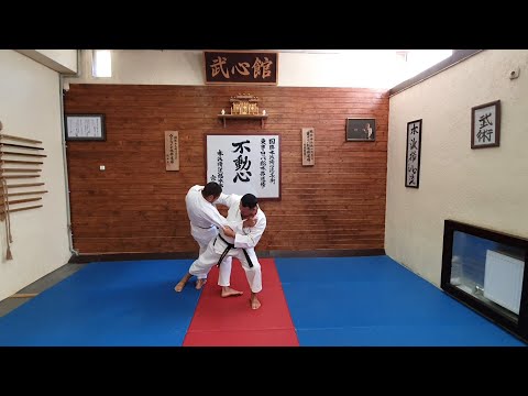 Видео: АШИ НАГЕ - Техника подножек (видеоурок)