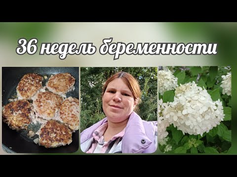 Видео: 36 неделек 🤰🏻/ Ходила к эндокринологу / Что готовлю? 🫑/ Покупки к школе 🎨