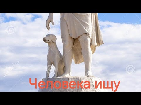 Видео: Найти Человека