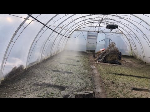 Видео: Дивіться як воно працює. Система поливу в теплиці #теплиця #farming #редиска