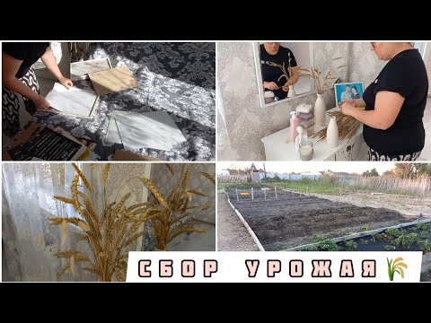 Видео: СОБРАЛА ПОСЛЕДНИЙ УРОЖАЙ🌾ОСЕННИЙ УЮТ В КОМНАТЕ🤗МОТИВАЦИЯ