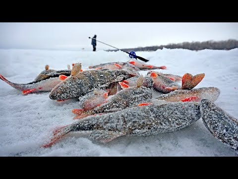 Видео: Секретный балансир для мордатых окуней